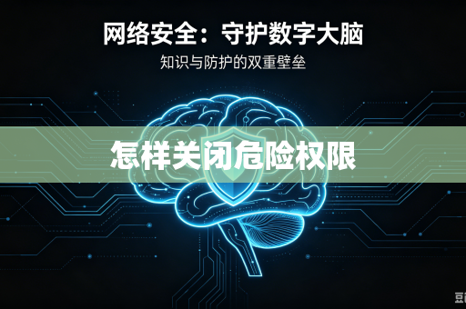怎样关闭危险权限