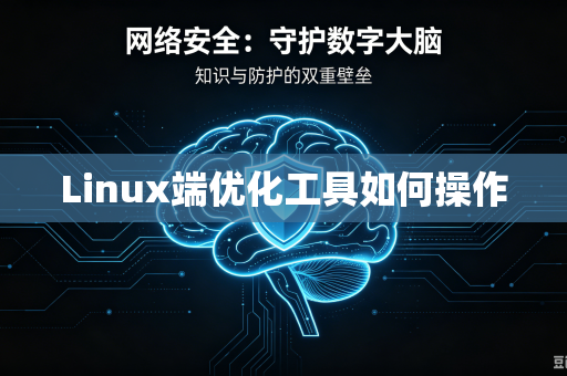 Linux端优化工具如何操作-第1张图片-电脑手机工具软件下载 - 免费实用工具合集 | 联启科技