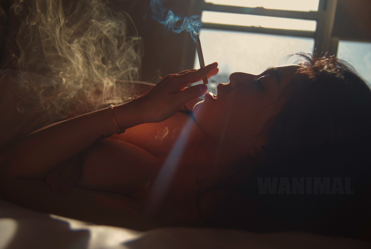 Wanimal2014149a33ef.jpg