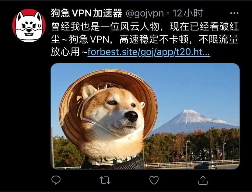 狗急VPN.jpg