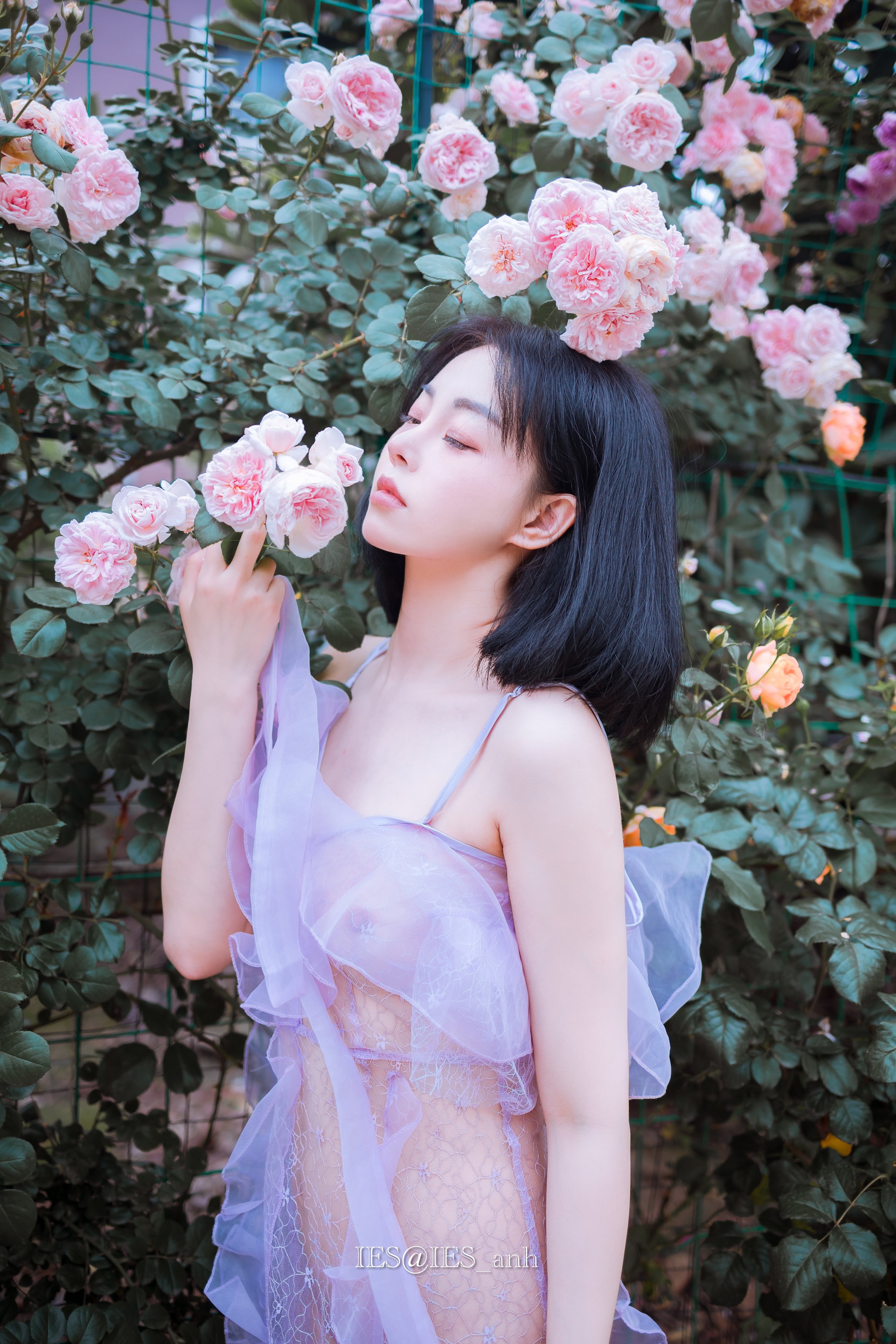 橘猫-8.jpg