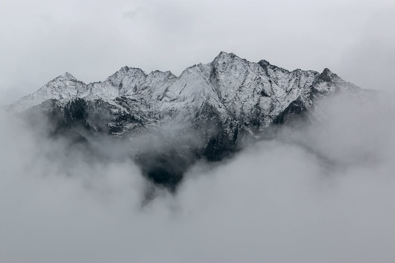 pexels-eberhard-grossgasteiger-691668.jpg