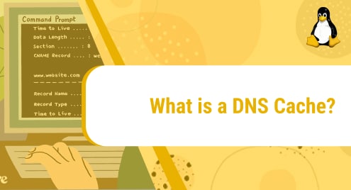 What_is_a_DNS_Cache_