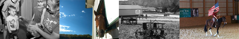 Longmeadow Rescue Ranch Gift Shop Banner