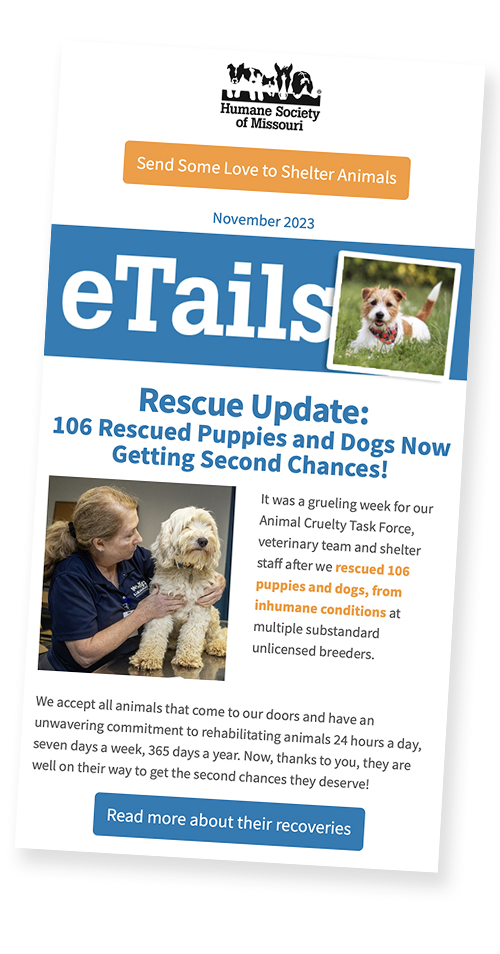 eTails November 2023