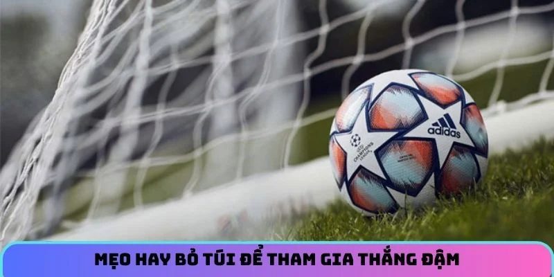 meo-hay-bo-tui-de-tham-gia-thang-dam