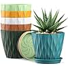 4 Inch Small Pots for Plants, 6 Pack Waffle Texture Small Plant Pots for Succulents, Plastic Planter with Drainage Holes and Saucers for Indoor Outdoor Plants, Flowers, Herbs, Seedlings, Colorful