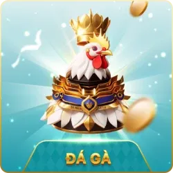 ĐÁ GÀ