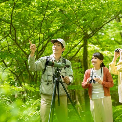 Wild Bird Sanctuary Forest Guided Tour in Nagano