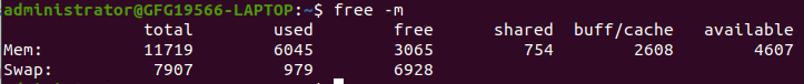 free -m option