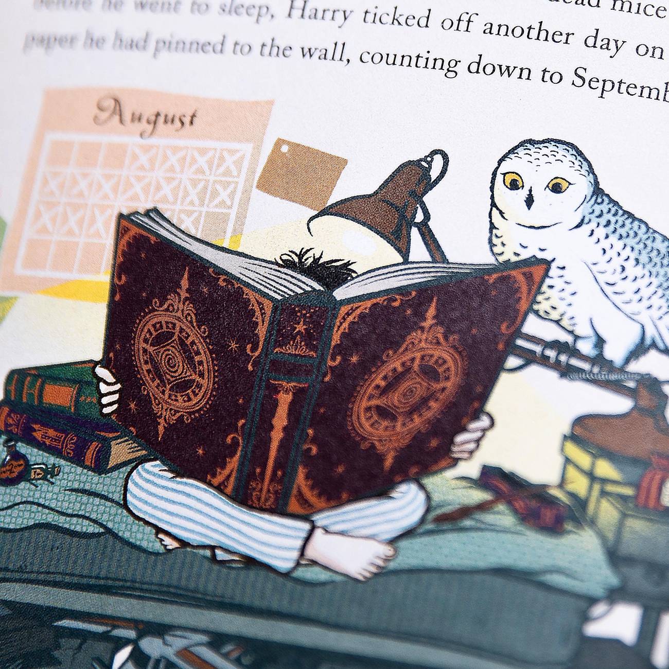 Harry Potter and Hedwig illustration from Harry Potter and the Philosopher's Stone by J.K. Rowling - hardcover book designed and illustrated by MinaLima.