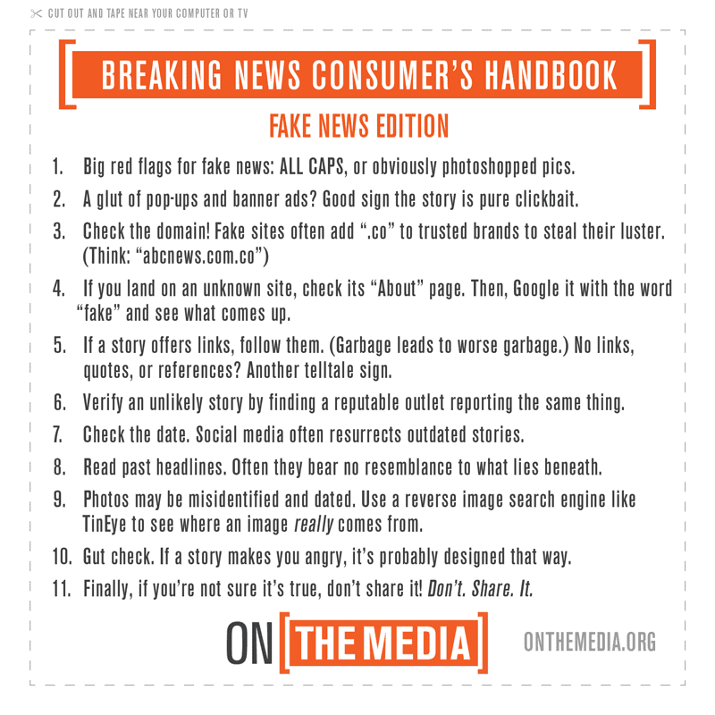Infographic with text of handbook. Text equivalent in PDF can be found here: https://media.wnyc.org/media/resources/2021/Nov/22/BNCH_FAKE_NEWS_EDITION_o.pdf