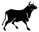 Bull silhouette representing the Rush program for business transformation