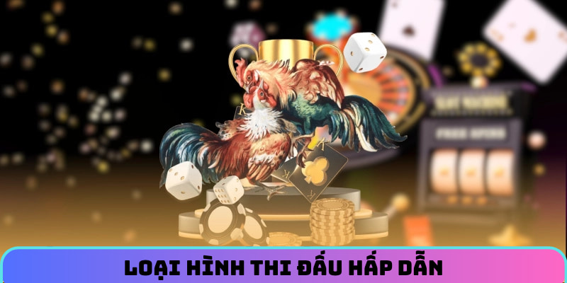 Loại hình thi đấu hấp dẫn
