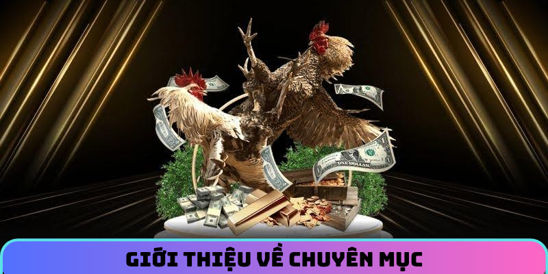 Giới thiệu về chuyên mục