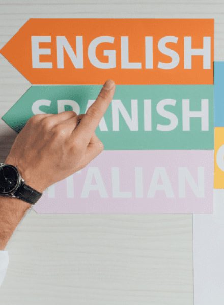 Multi language oprtions for web sites