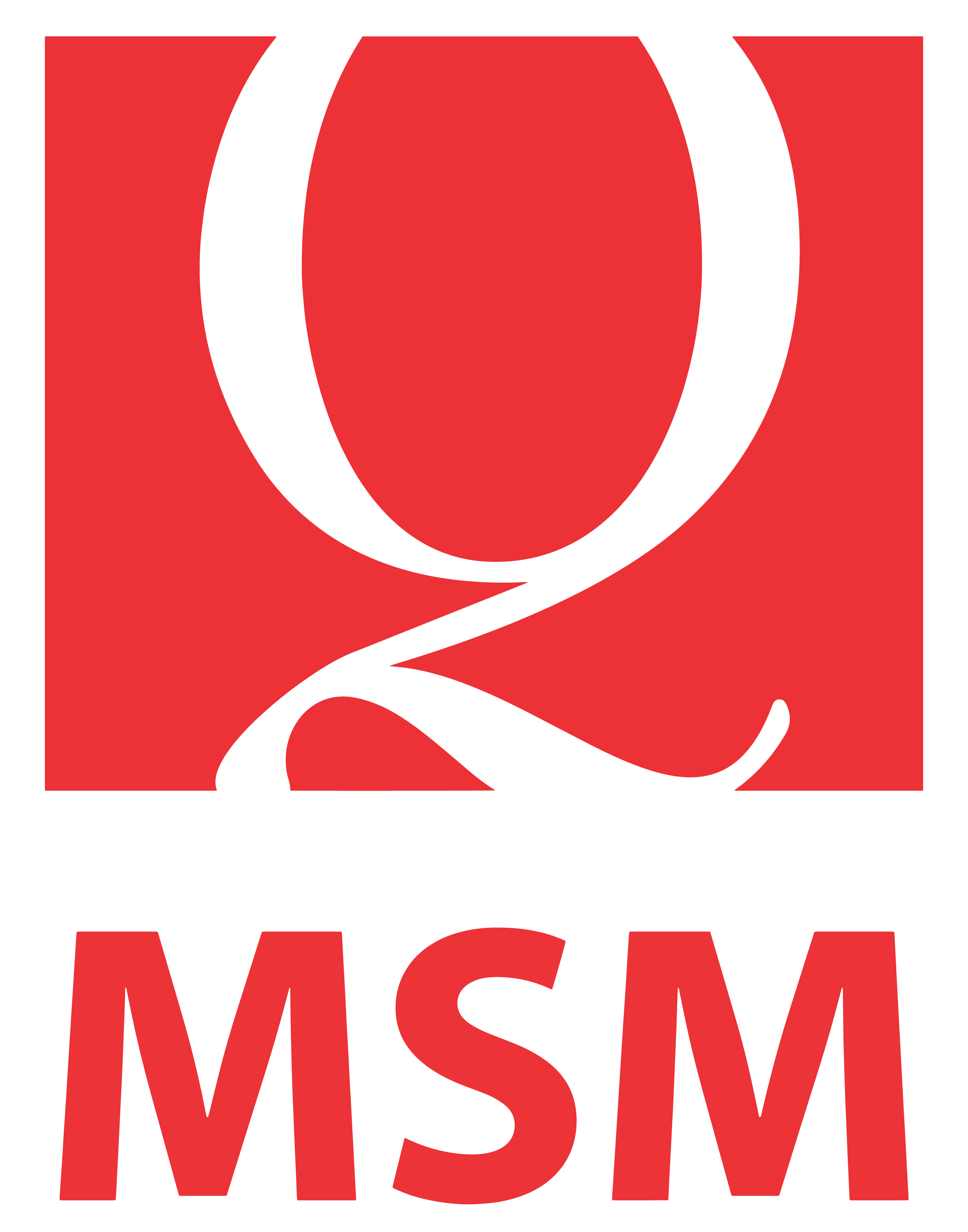MSM Logo