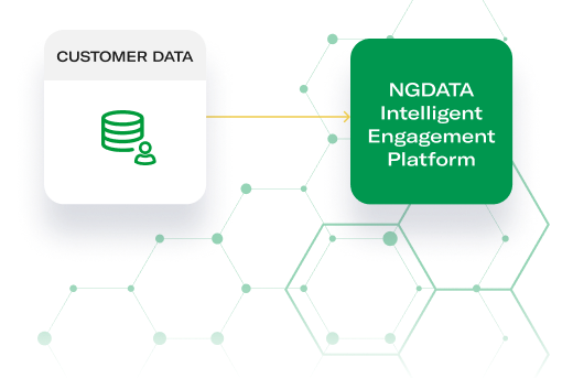 NGDATA Integration Data NGDATA Integration Data
