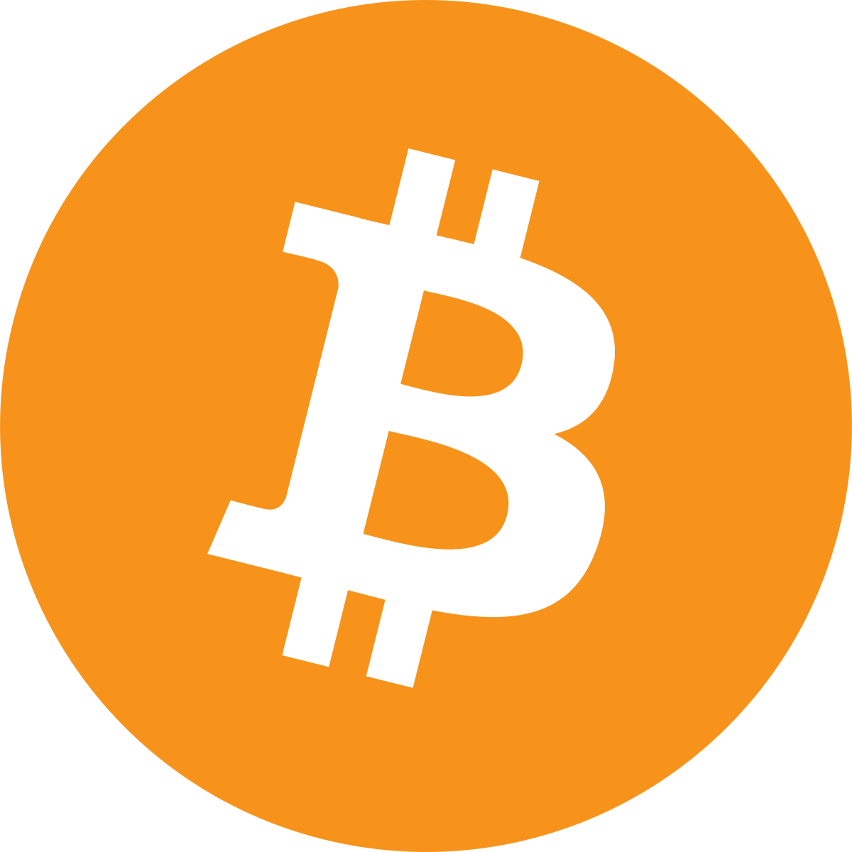 btc Logo Icon