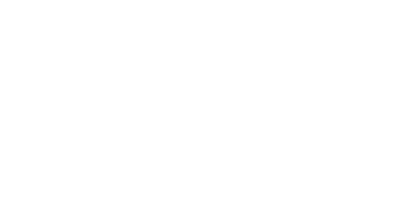 logo obsnat