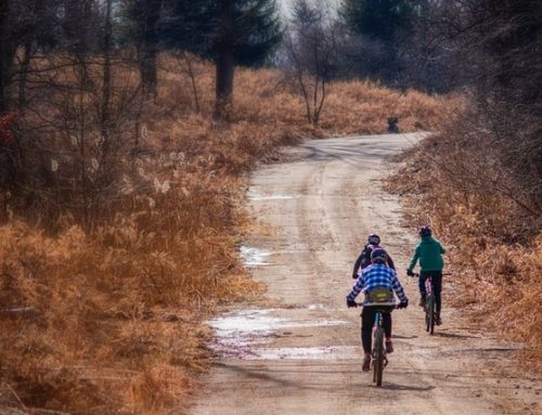 OOPS – Java Access Modifiers