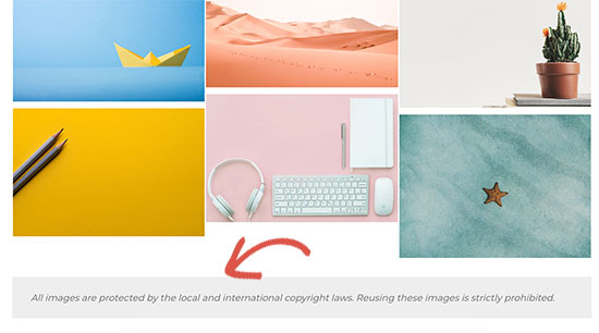 Copyright reminder text Copyright reminder text