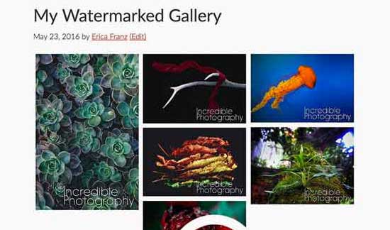 Watermark images to discourage image theft Watermark images to discourage image theft