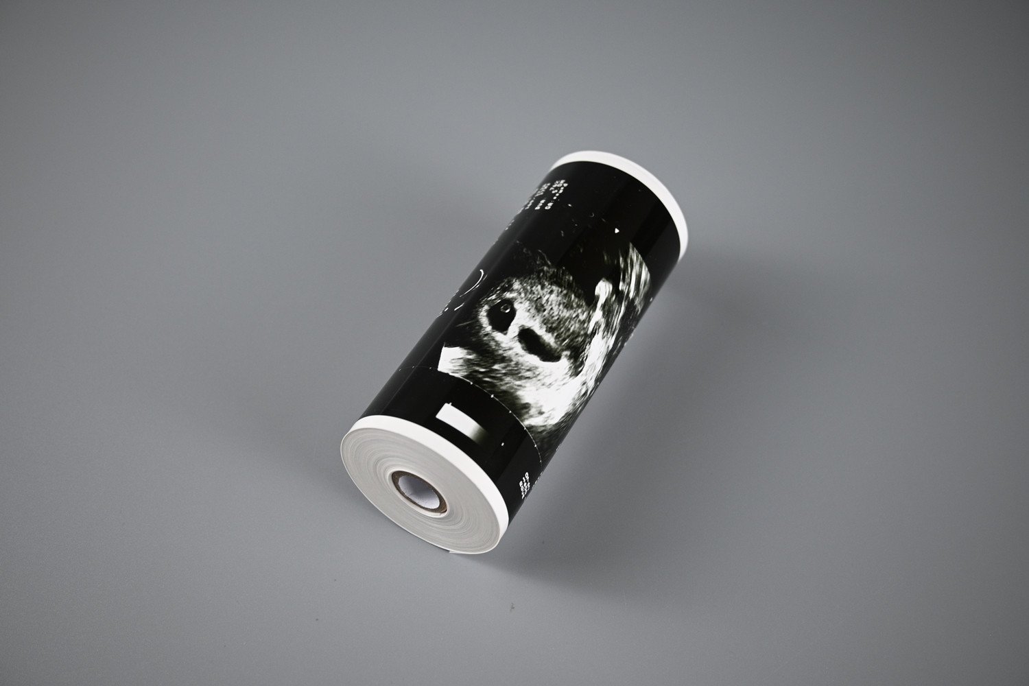 Panda ultrasound print media B&W