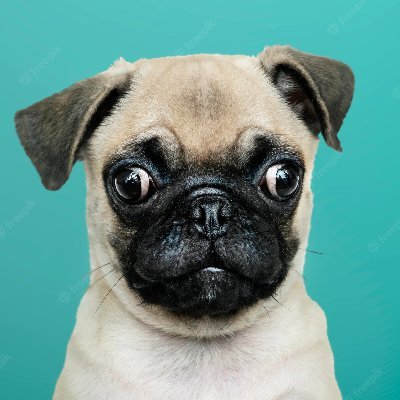 MoskovetsMasha π²'s Twitter (X) avatar
