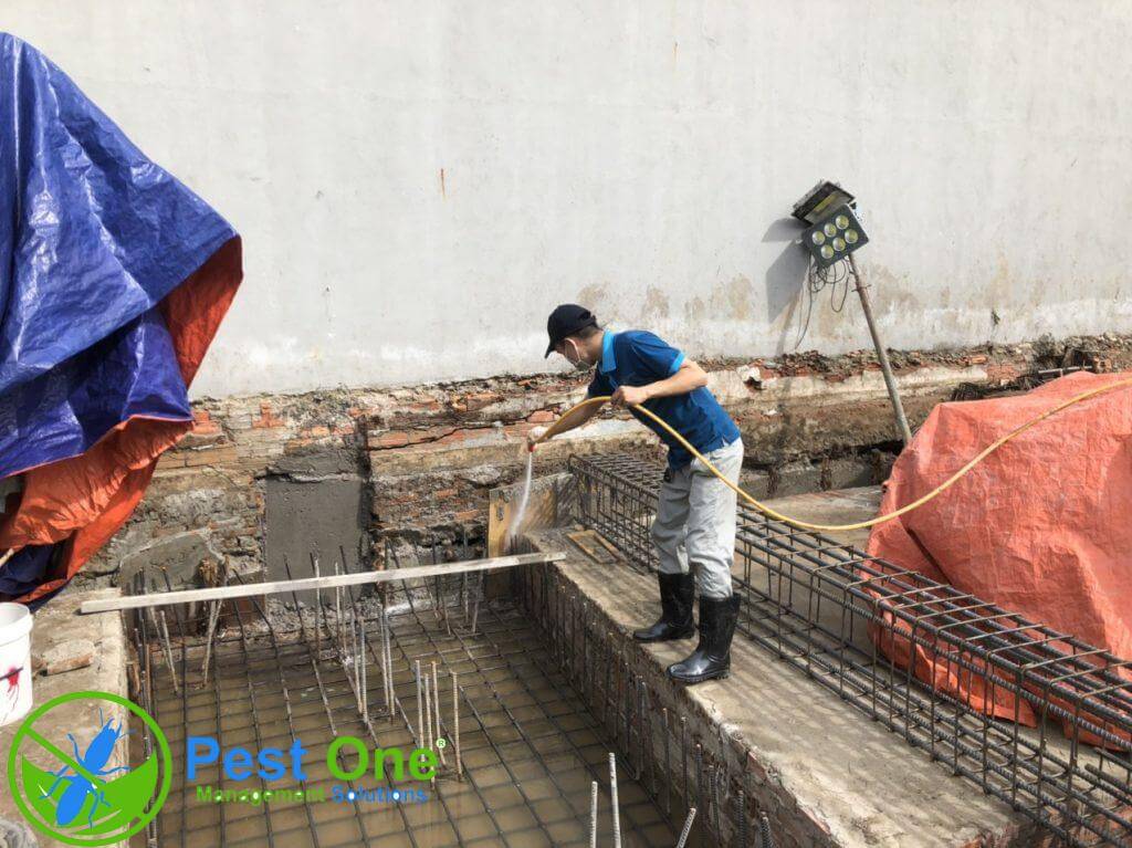 Biện pháp phòng chống mối công trình xây dựng