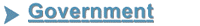 Government