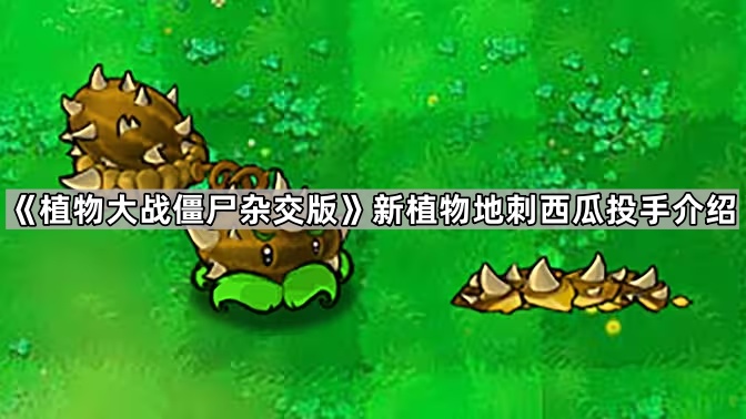 《植物大战僵尸杂交版》新植物地刺西瓜投手介绍