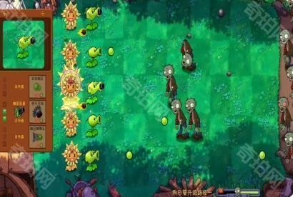 植物大战僵尸共生版