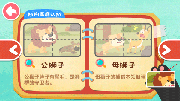 攻略指南配图8