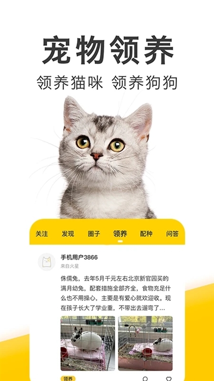 有只宠物APP宣传图