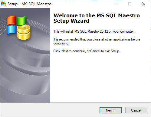 MS SQL Maestro宣传图