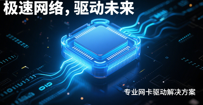 ESXi 9.0中文版集成网卡驱动在哪可以下载 ESXi集成网卡驱动安装方法
