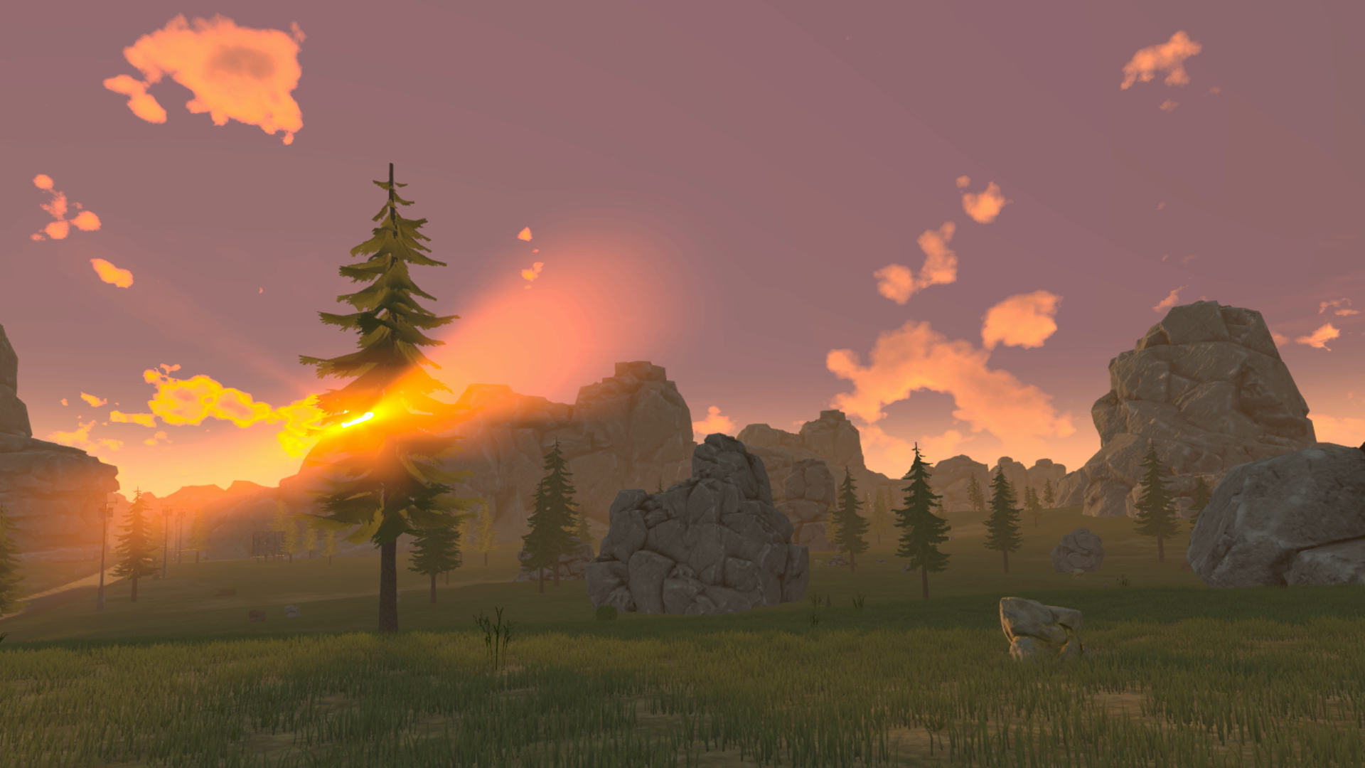 Environment