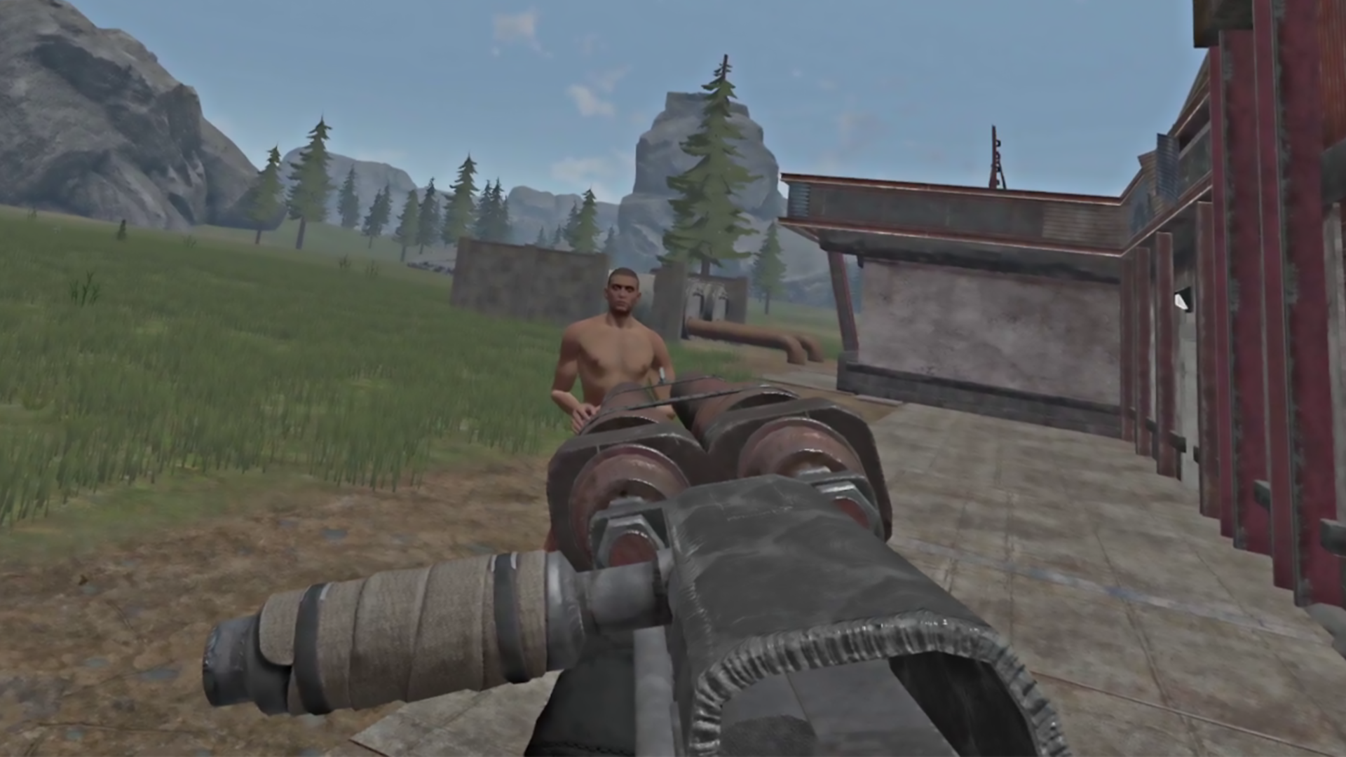 PVP