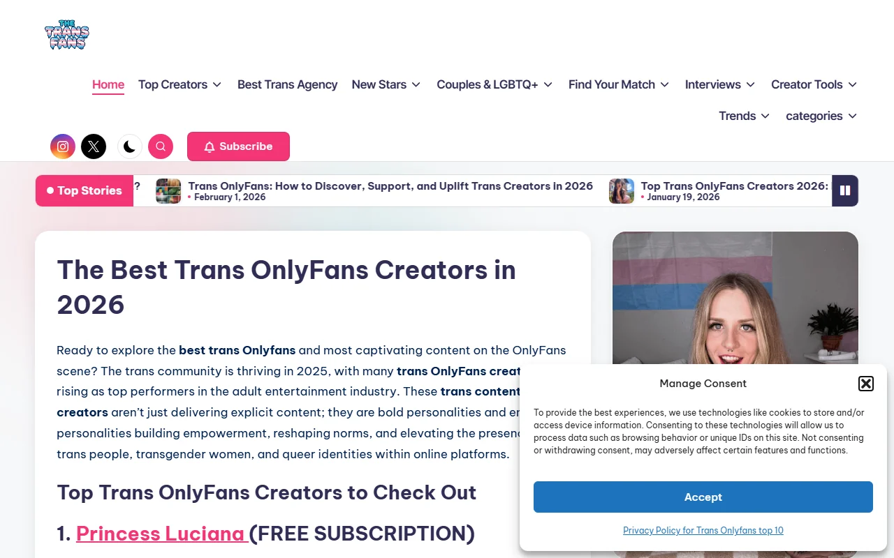 Screenshot: Thetransfans Review Screenshot of Thetransfans Review