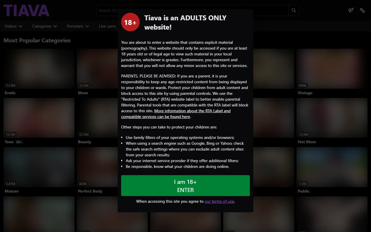 Screenshot of Tiava