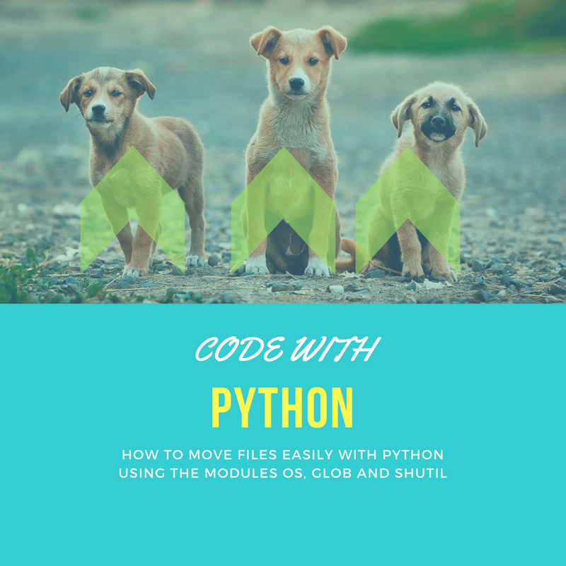 move files with python