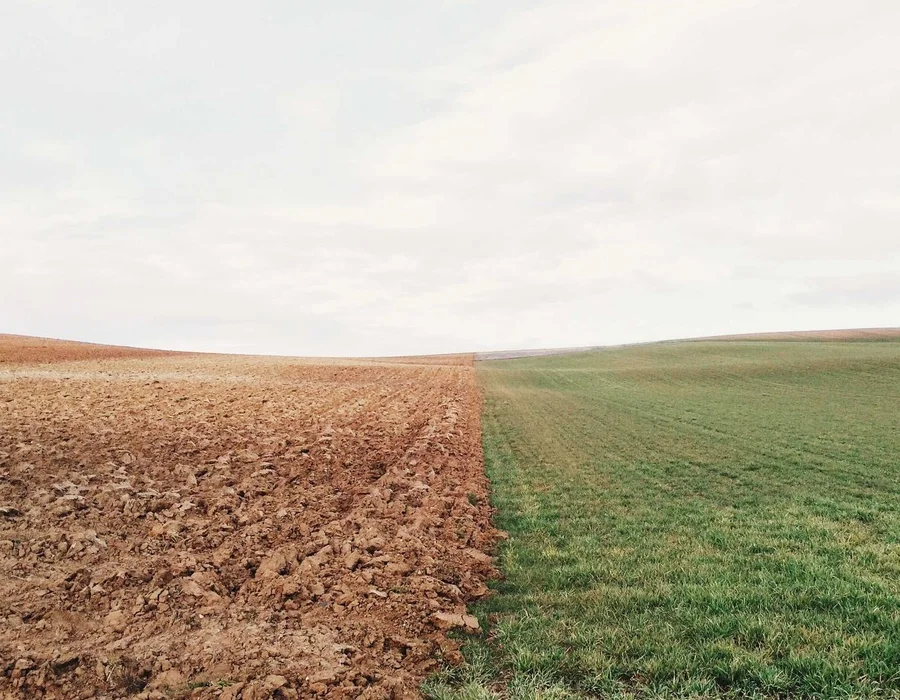 Palabras clave en Python: import