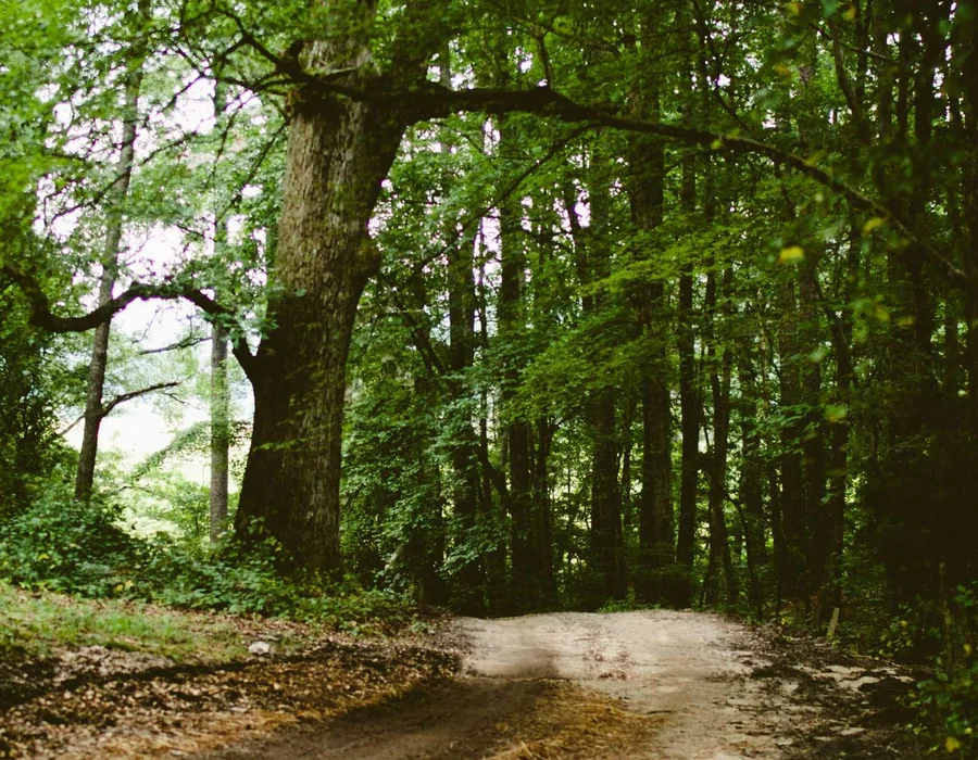 Palabras clave en Python: None