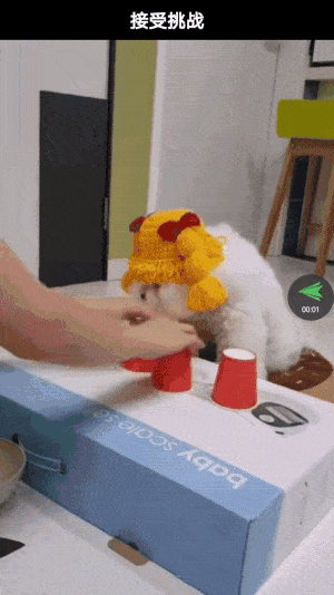 OppositeNestedScroll