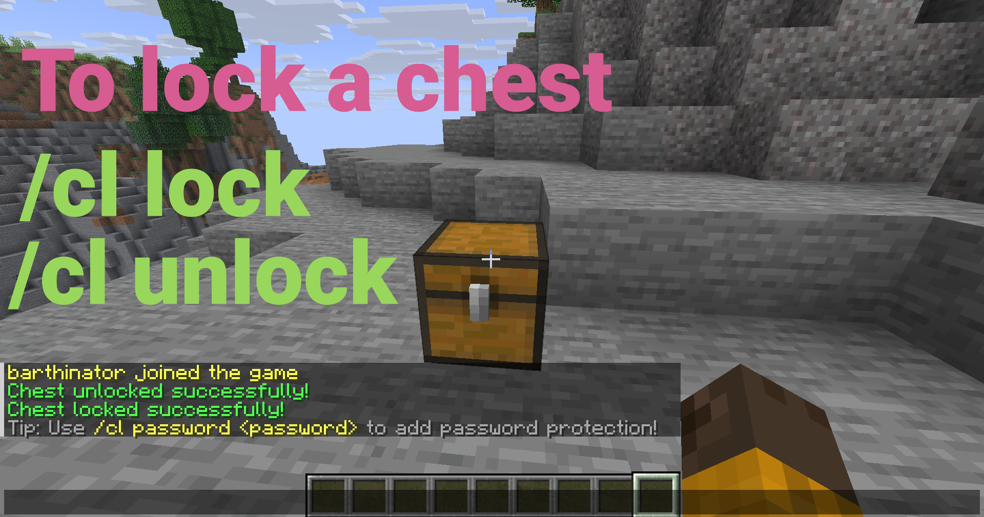 Lock Command Example