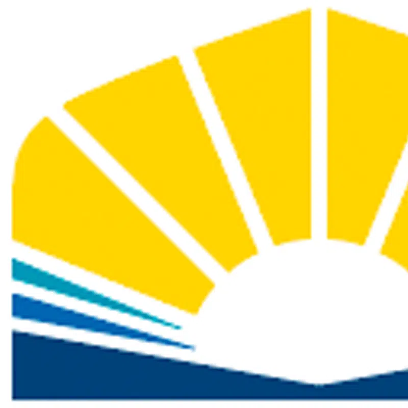 Bitmap Logo