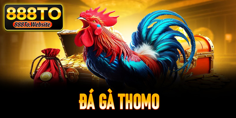Đá Gà Thomo -  Thiên Đường Chọi Kê Số 1 Hiện Nay 