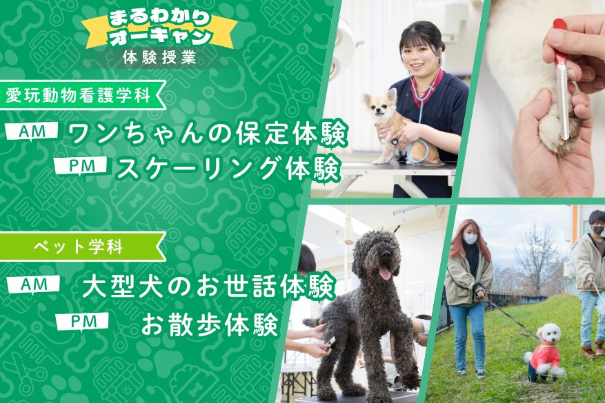 観光のランチ付きでじっくり過ごせる１DAY型オープンキャンパス♪6/14（日）