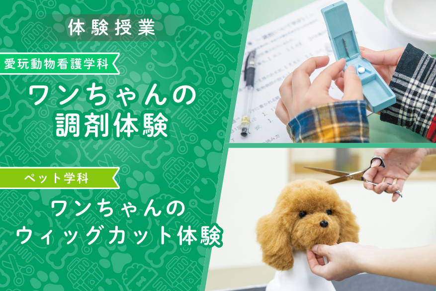 観光のランチ付きでじっくり過ごせる１DAY型オープンキャンパス♪6/14（日）